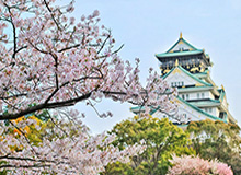 保利体育官方入口-扎哈维新冠检测呈阳性 参加国家队比赛不慎感染